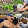 100 Seedling Pots - Non-Woven Fabric Planting Bags For Seed Sprouting, Home Gardening Supplies
