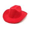 Lamb Woolen Hat Men's and Women's Autumn and Winter New Jazz Hat European and American Fashion Warm One-word Top Western Cowboy Top Hat