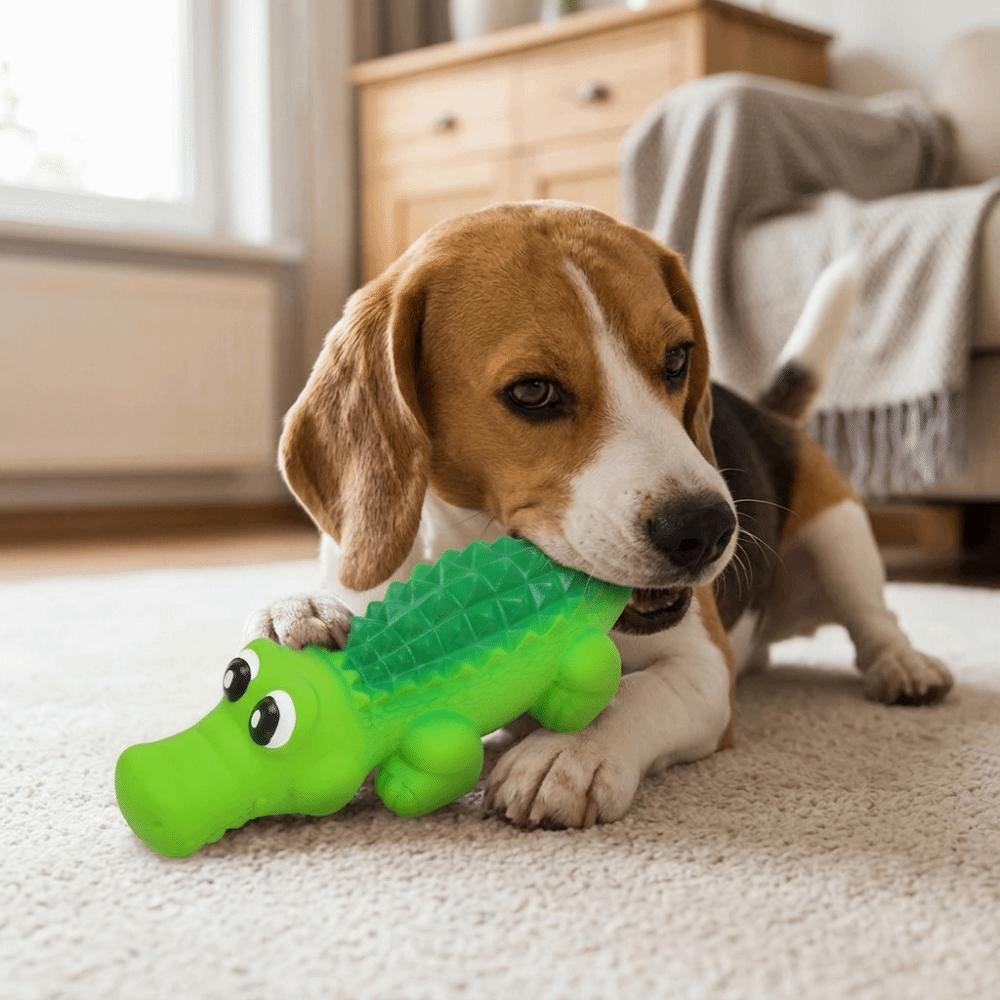 Premium Latex Squeaky Dog Alligator Toy Interactive Dog Training Toy  Indoor Daily Playtime