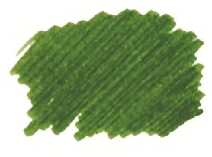 NAGASAWA Fountain Pen Ink Kobe INK Story Volume 34 Sorakuen Tea Green