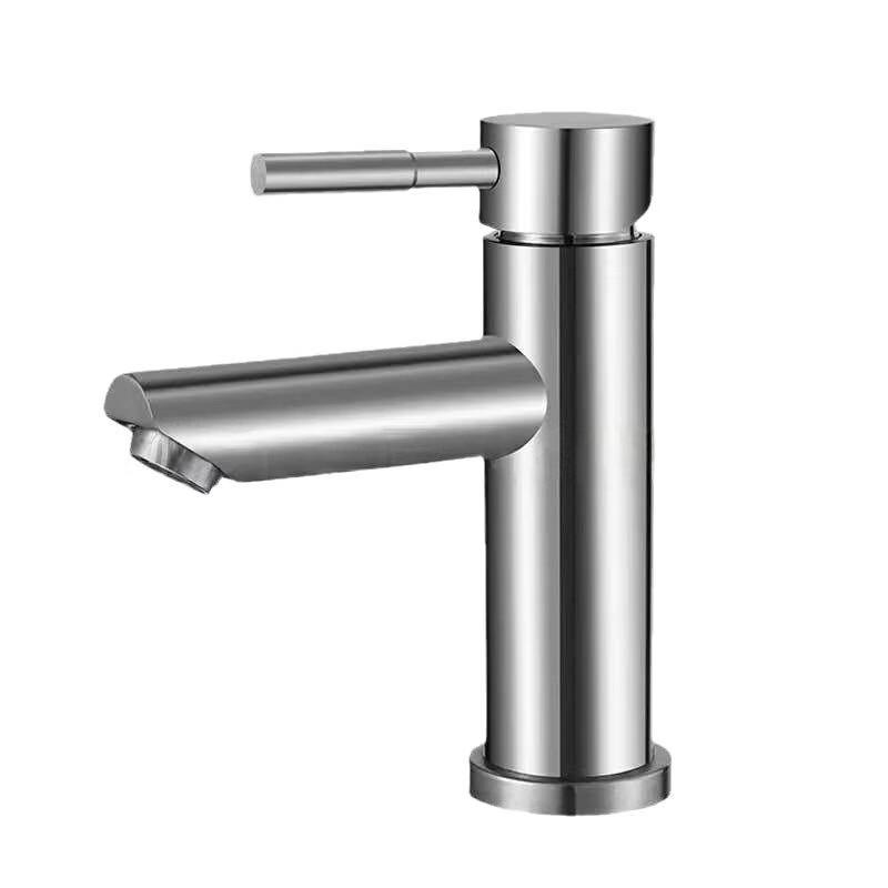TLXT Brushed 304 Stainless Steel Single Cold Faucet