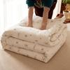 Nanjiren A-Class Antibacterial 100% Xinjiang Cotton Quilt