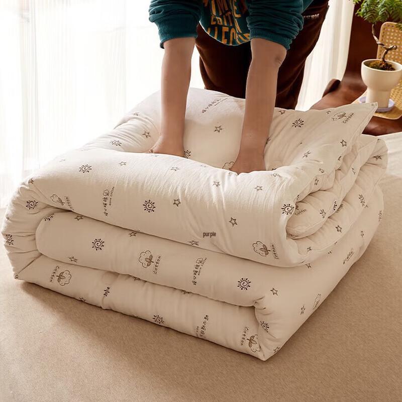 Nanjiren A-Class Antibacterial 100% Xinjiang Cotton Quilt