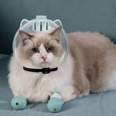Kedi – Kedi bakım ürünleri