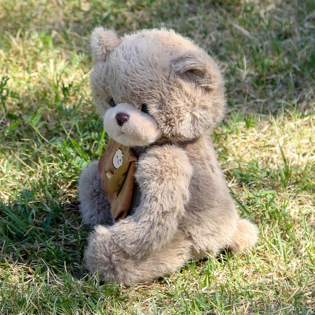 Plush Teddy Bear Backpack Toy With Soft Pp Cotton Filling For Girls Gift
