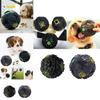Pet World Leaking Food Ball Noise-making Dog Toy Black