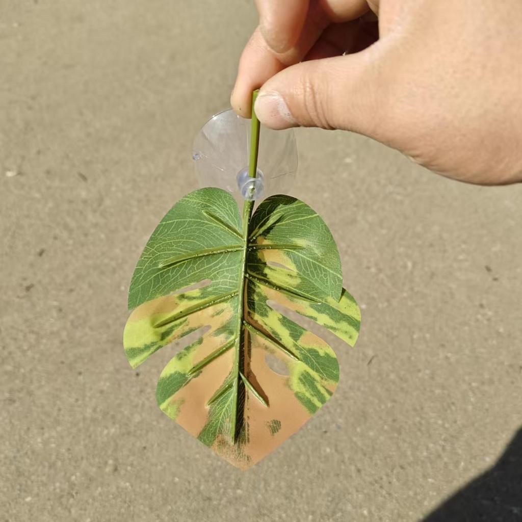 Aquarium Betta Fish Leaf Pad with Suction Cup Relax Plants Fish Spawning Habitat Pets Fish Tank Decor Artificial Leaf Hammock