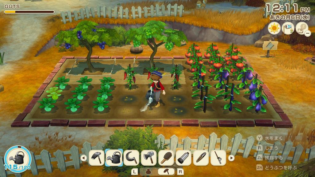 Harvest Moon Grand Bazaar of Wind Nintendo Switch 2 Edition Let's! -Switch2