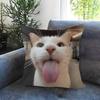 Cute Funny Cat Meme Maple Design Cushion Cover Happy Autumn Harvest Decor Holiday Decorati Pillow Cover