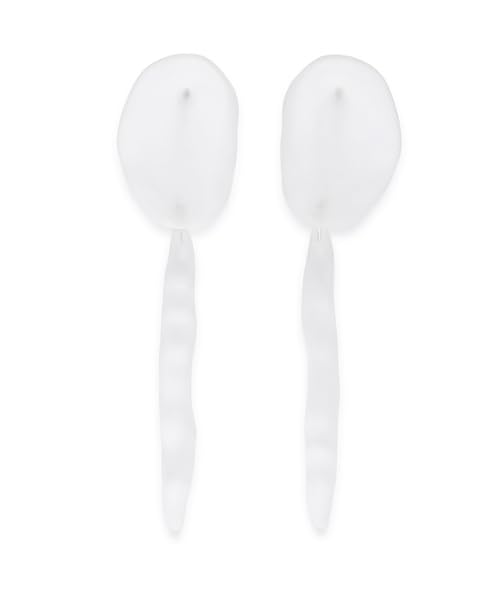 

Nuance Plate Earrings 13WGA252312CLAF