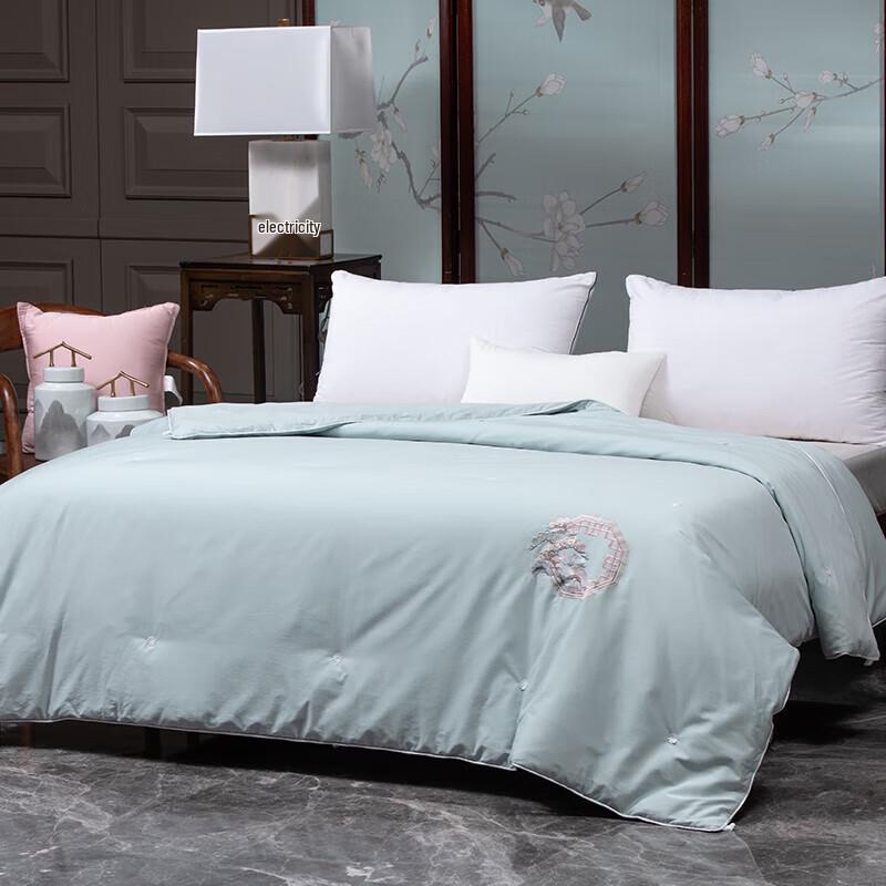 

Duohixiai Jinxiuyuan Summer Silk Quilt