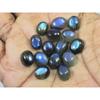 8X10MM Natural Labradorite Blue Fire Oval Cabochon Loose Gemstone 15Pcs Lot C-1084