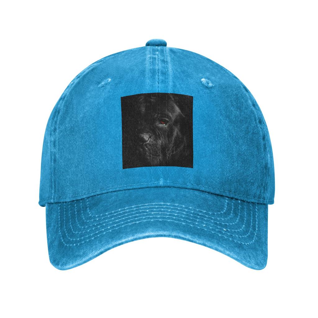 Cane Corso Animal Dog Denim Fabric Cap Casual Baseball Caps Adjustable Hat Summer Unisex Baseball Hats