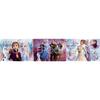 EPOCH Apollo Step Frozen 2 Puzzle 10/15/20 Pieces with Storage Bag for Kids Ages 4 and Up
