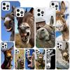 Funny Donkey Phone Case For iPhone 13 12 Mini 11 Pro Max XS XR X SE 7 8 Plus 5S 5 6S 6 Gift Print Cover Fundas