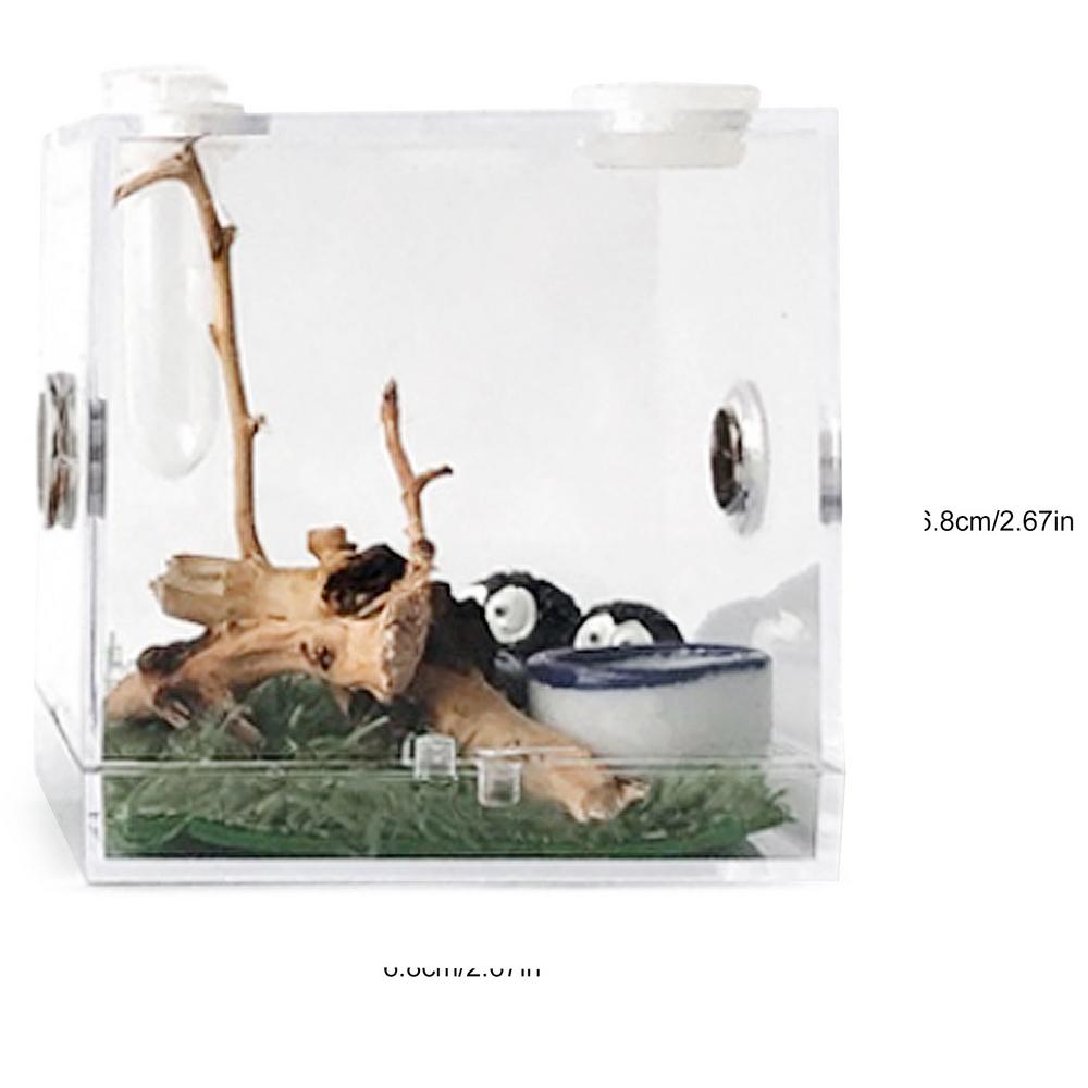 Box na krmení hmyzu pro pavouky Box pro chov plazů Příslušenství do terária Box na hmyz pro pavouky Cvrček Šnek Tarantule