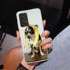 Chihuahua Puppy Teacup Dogs Phnoe Case for Samsung Galaxy A17 A37 A57 A16 A26 A36 A56 A15 A14 A13 A55 A54 A53 A35 A34 A33 A25 A2