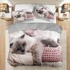Fashion Adorable Lovely 3D Cat Print Coton Soft with Soft Fabric Duvet Cover Set Al Season Soft Comfortable Beding Set Bedrom Guest Rom