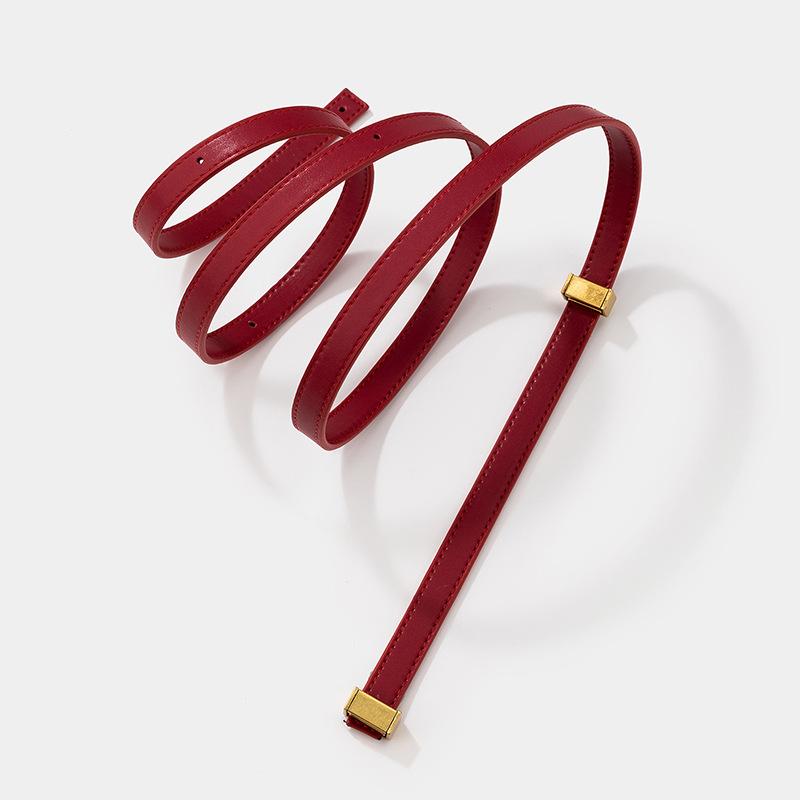 

Versatile and Fashionable Bag Replacement Shoulder Strap Portable Thin Shoulder Strap Three-gear Adjustment New Bag Accessories червоний