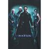 The Matrix Unisex Voksen Poster T-skjorte