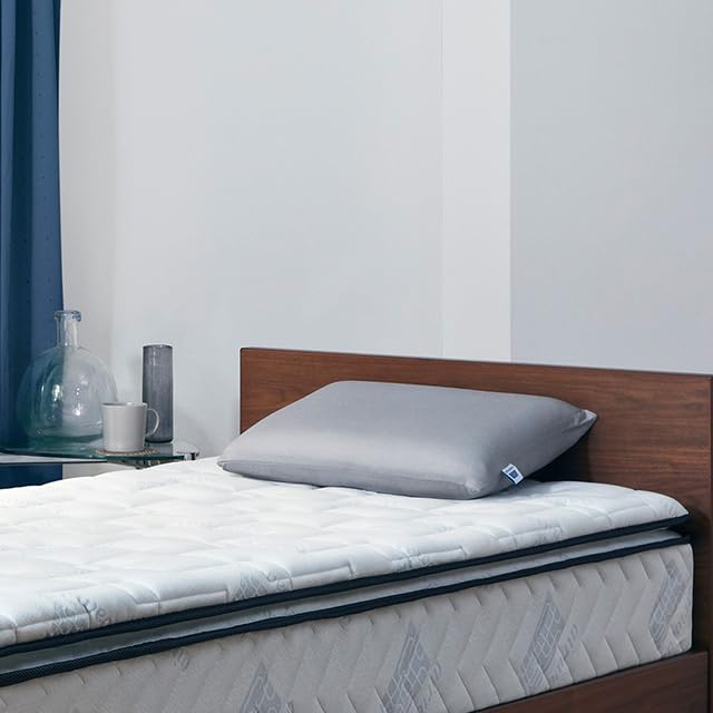 Airweave Pillow Cover, Gray, 2-57011-GY-1, Mesh Material, Breathable, Absorbent