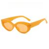 Cat's Eye Retro Women's Fashion Sunglasses Bohemian Spring/Summer Bright Vacation Accessories
