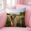 NICE CUTE Pembroke Welsh Corgi Dog Cushion Cover Pillow Case Soft Friendly Fabric  Concealed Zipper