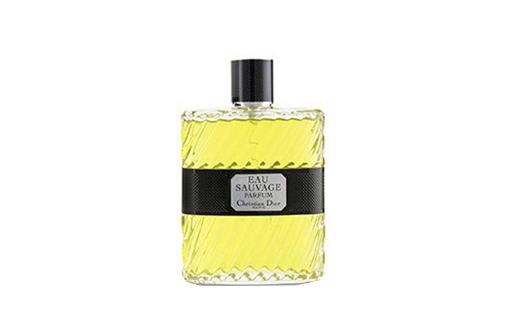 Dior Fresh Water Dark Scent Edition Men's Perfumes Citrus Scent Eau De Parfum EDP Bergamot Petitgrain Vetiver