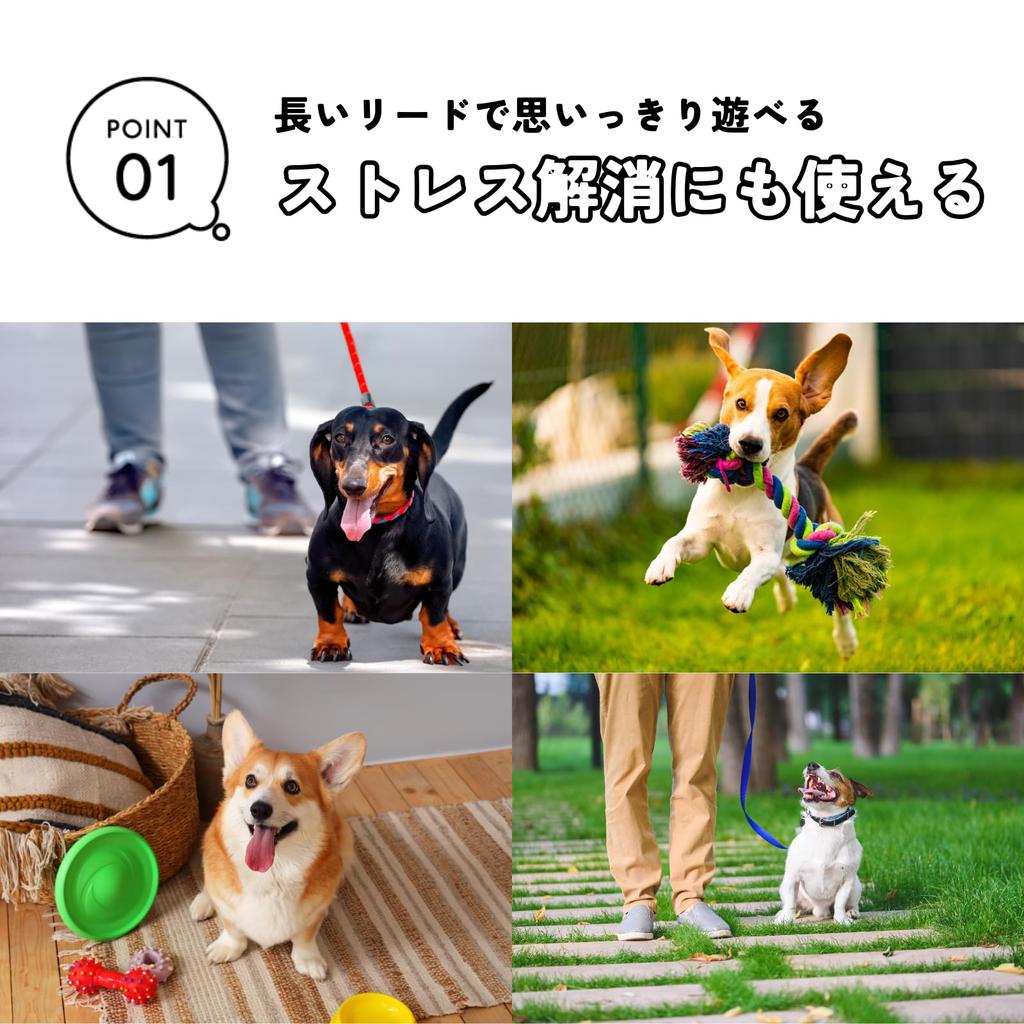 DIZLAS Long Leash 30m 360 Degree Rotating Dog Leash for and Large Training Leash Small, Medium, Dogs, (Red)