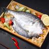 Frozen Gutted Bailiao Seabass