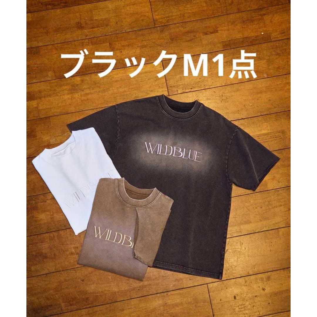 WILDBLUE WEGO T-shirt black M