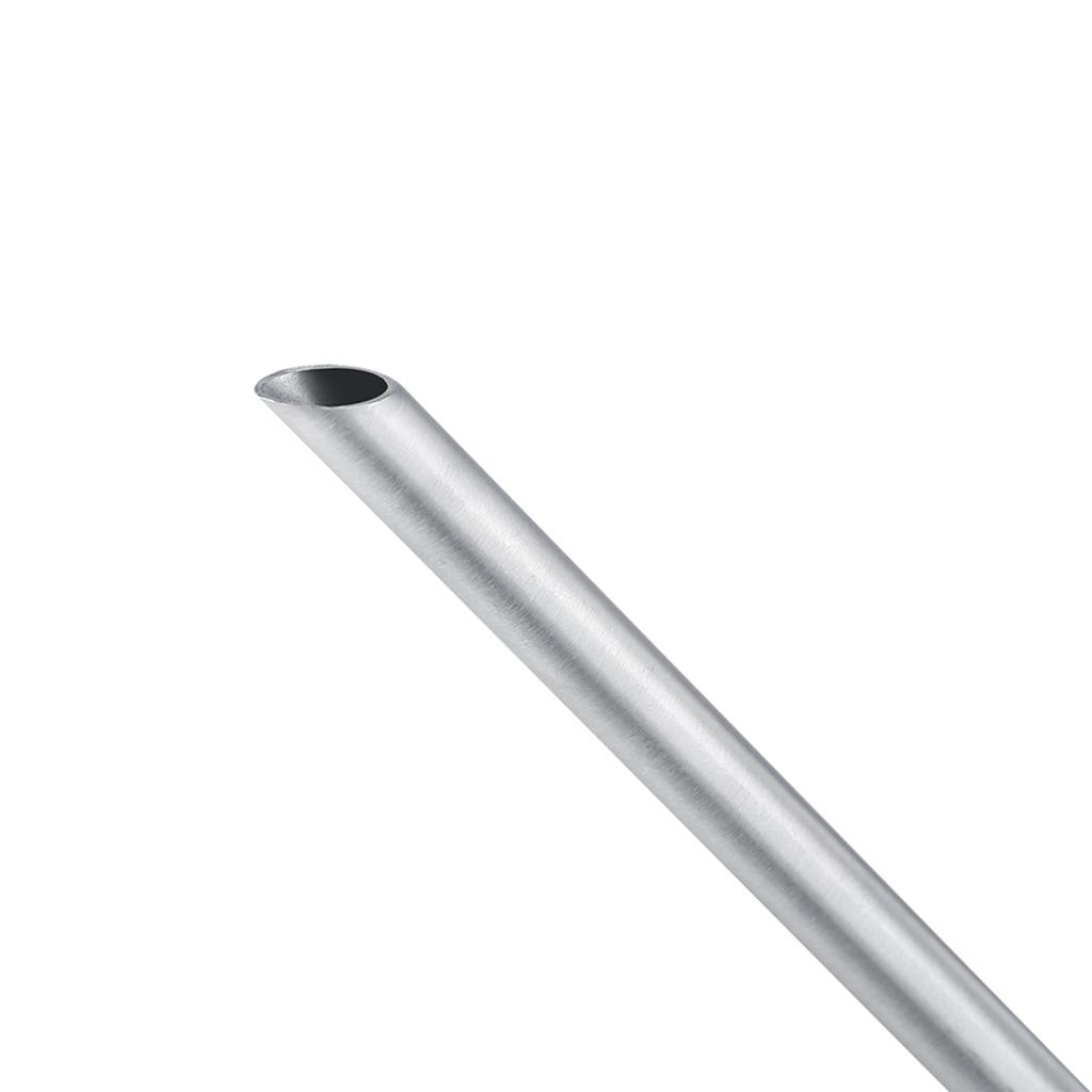 Vattenkanna i rostfritt stål Trädgårdsväxt Blomma Mun Ströbehållare (300 ml)