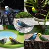 Mini-Papagei und Phönix Statue - Lebendig handbemalte theatralische Tierdekoration, Innen-Außen-Garten und Tischskulptur, Tischdekorationen