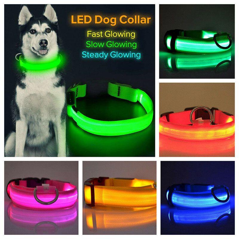 Haustier LED leuchtendes Hundehalsband wiederaufladbar für kleine mittlere große Hunde