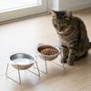 Monkey-shaped Raised Cat Bowls Stainless Steel Pet Feeder Container  Wet Dry Food