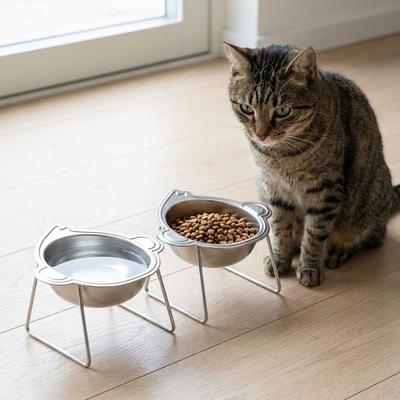 Stainless Steel Raised Cat Bowls 15 Degree Inclined Neck Protection Cat Food Water Bowl Safe with Stand Pet Feeder Container