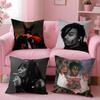 Playboi Carti RAP Rapper Singer Cushion Cover Comfortable Reversible Pillow Cover Ideal for Car Sofa Bedroom & Beyond