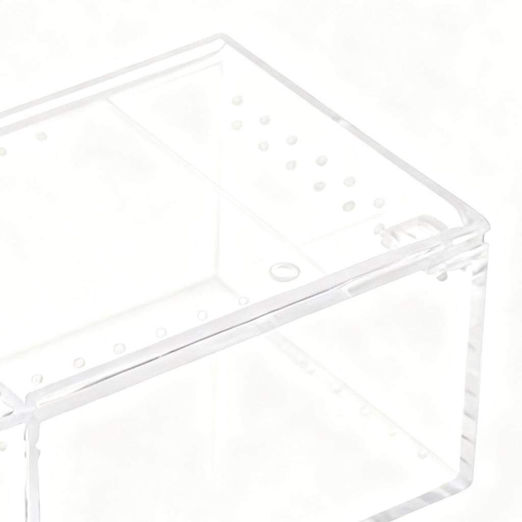 Spider Terrarium Transparent Gecko Breeding Tank Acrylic Snake Enclosure For Lizard Frog Gecko Snail Turtle Observation Breeding