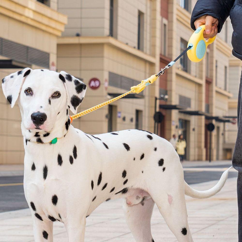 3m Dog Walking Leash Retractable Anti-Escape Mechanism Retractable Dog Leash Durable Adjustable Dogs Auto Retractable Belt