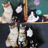 Creative Simulation Cat Pillow 3D Cat Cushion Animal Doll Photography Wedding Decor Sitting Lying Down Pose