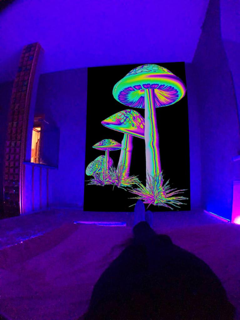 Fluorescent Tapestry UV Fluorescent  Psychedelic Mushroom Wall Hung Hippie Decorative Room Aesthetics