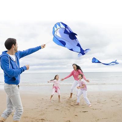 3D Kite Huge Frameless Soft Parafoil Giant Whale Flying Kite Flying Kite Frameless Kite Kite