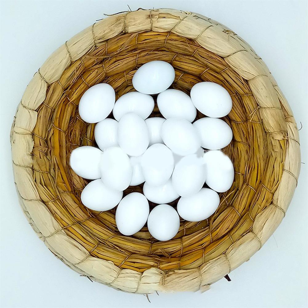 12 Stück Simulierte Taubeneier Simulierte Falsche Eier Taubenrennen Taubenbrut Zubehör Taubenzucht Werkzeuge Brut-Ei
