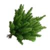 10Pc Simulated Pine Needle Branches DIY Simulated Pine Needle Decorations For Christmas Trees Home Holiday Party Christmas Decor