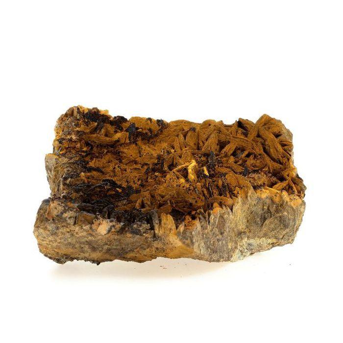 Pyrolusite et Goethite sur Sidérite 2140.1 carats