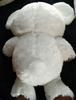 [USED] Precious Teddy Bear Stuffed Animal White