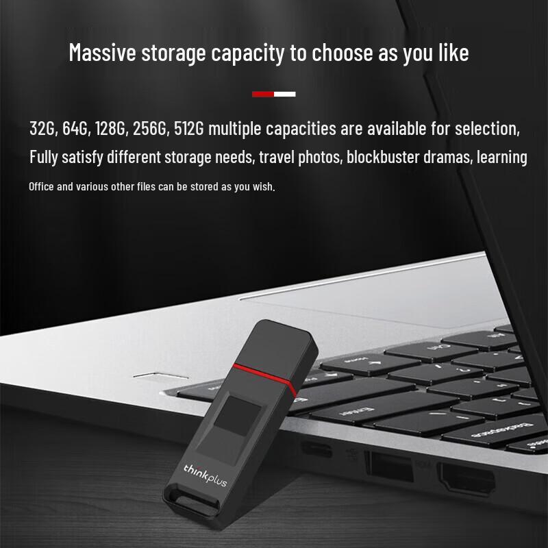 Lenovo ThinkPlus FU200 USB 3.2 Fingerprint Encrypted Flash Drive
