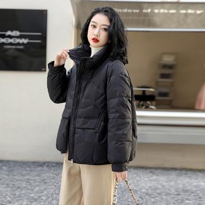Retro Short Down Jacket Women's 2025 Winter New Fashion Stand-up Collar Warm Small Lightweight Semi-round Buckle Jacket