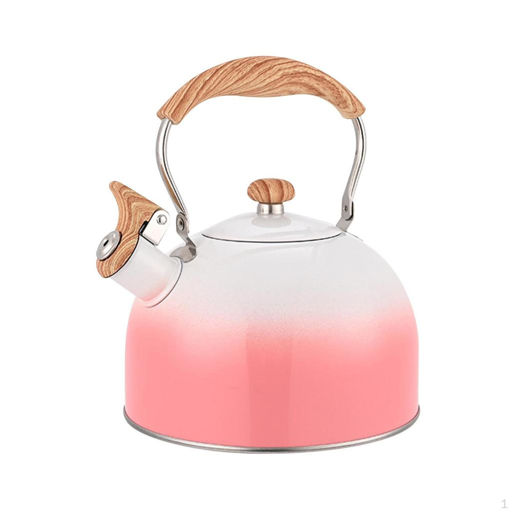 Stainless Steel Kettle for Outdoor Use
