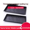 Rectangular Plastic Seedling Tray for Succulents & Sprouts